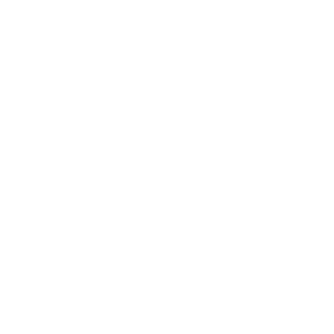 feltcore logo beyaz
